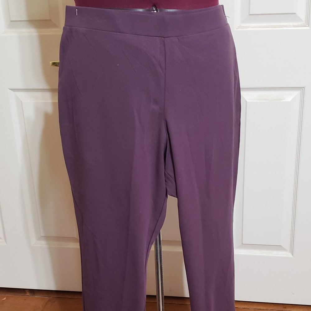 Dark purple AppleSeed's Pants